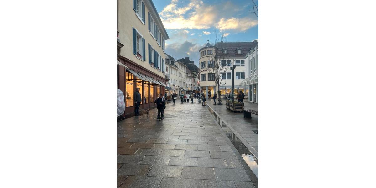 Dachgeschoßwohnung Landau in der Pfalz - 1 Zimmer, 37 m&sup2;, 680&euro; | Angebot:25852443