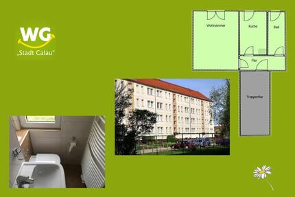 Wohnung Calau - 1 Zimmer, 30 m&sup2;, 195&euro; | Angebot:24793590