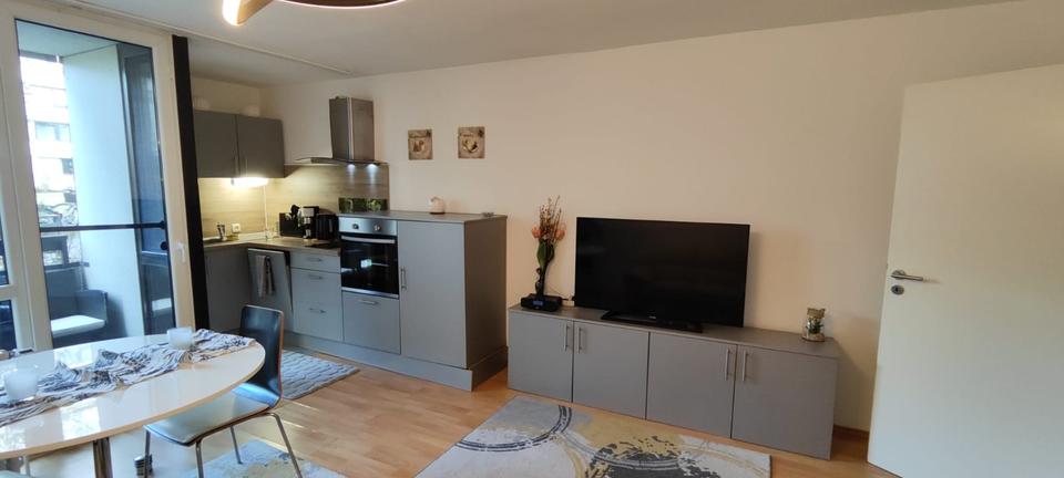 Möblierte 1 Zimmer Wohnung am Wöhrdersee mit Balkon 1 zimmer