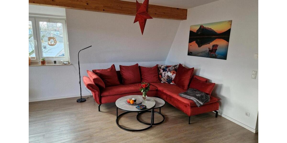 Wohnen auf Zeit Wiesbaden Biebrich - 1 Zimmer, 100 m&sup2;, 700&euro; | Angebot:25333238