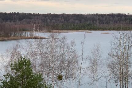 Wohnung Schipkau Barranmühle - 2 Zimmer, 57 m&sup2;, 520&euro; | Angebot:23858892