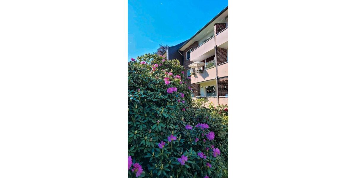 Etagenwohnung Schneverdingen - 3 Zimmer, 69 m&sup2;, 550&euro; | Angebot:26698558