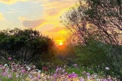 Wohnen auf Zeit Schöllkrippen - 25 Zimmer, 100 m&sup2;, 460&euro; | Angebot:25795288