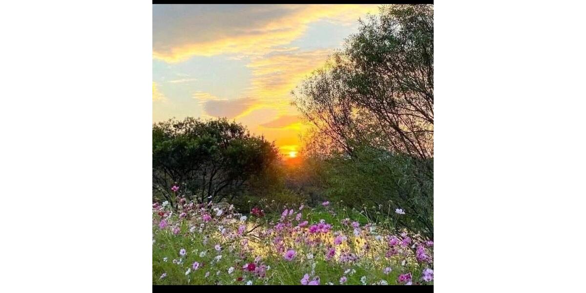 Wohnen auf Zeit Schöllkrippen - 25 Zimmer, 100 m&sup2;, 460&euro; | Angebot:25795288