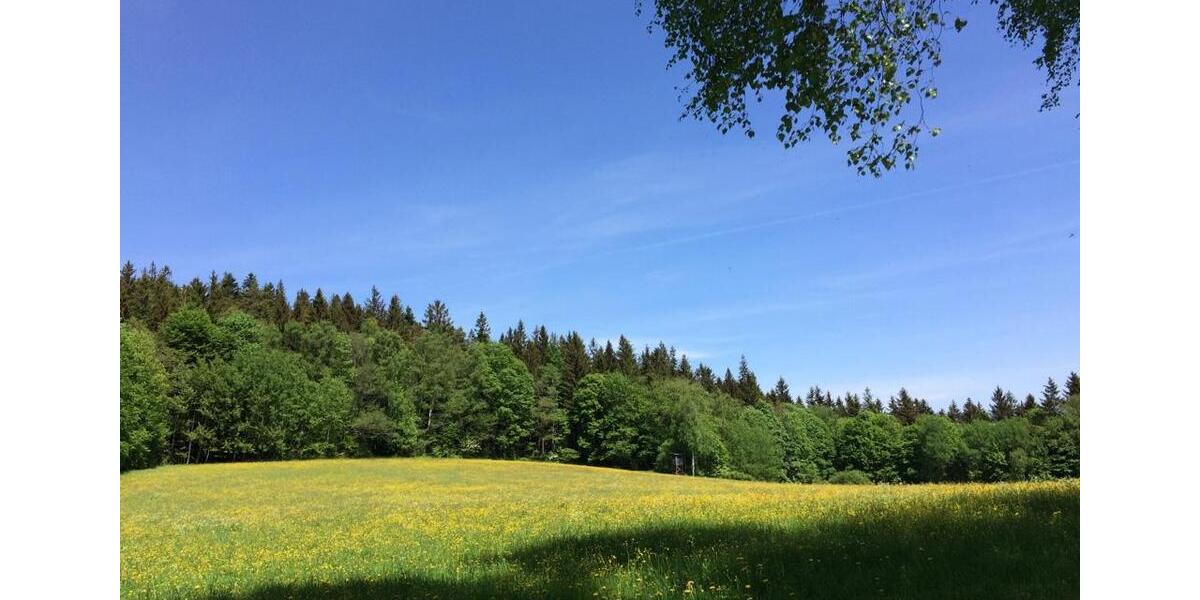 Etagenwohnung Arrach - 3.5 Zimmer, 450&euro; | Angebot:11047614