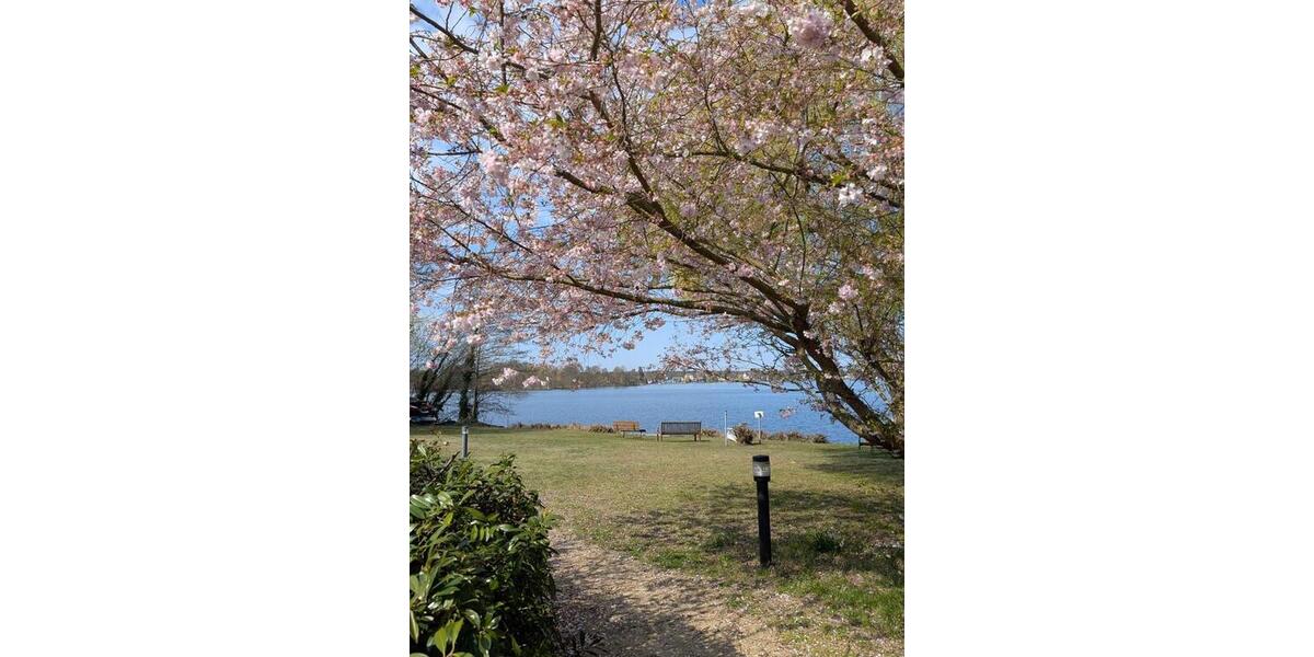 Terrassenwohnung Erkner - 1 Zimmer, 35 m&sup2;, 650&euro; | Angebot:24946079