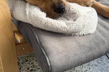 Haus Bielefeld Heepen - 4 Zimmer, 100 m&sup2;, 1.400&euro; | Angebot:26169155