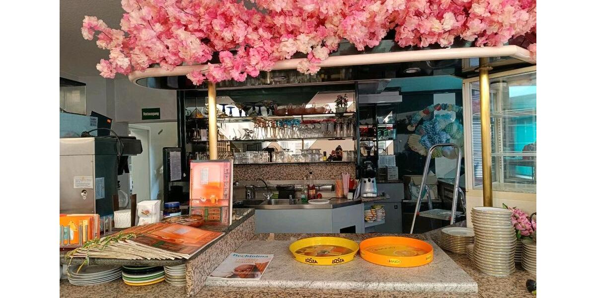 Einfamilienhaus Zeitz - 6 Zimmer, 300 m&sup2;, 1.600&euro; | Angebot:23649340