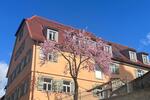Etagenwohnung Schwieberdingen - 2 Zimmer, 71 m&sup2;, 1.140&euro; | Angebot:26458249