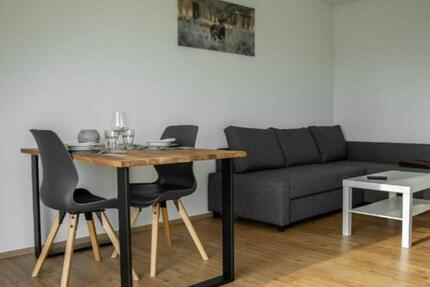 Schöne möblierte WohnungApartment befristet zu vermieten 2 zimmer