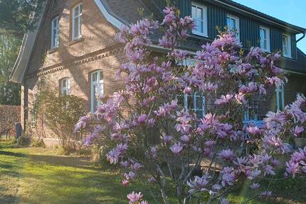 Wohnen auf Zeit Bendestorf - 2 Zimmer, 100 m&sup2;, 950&euro; | Angebot:25639481