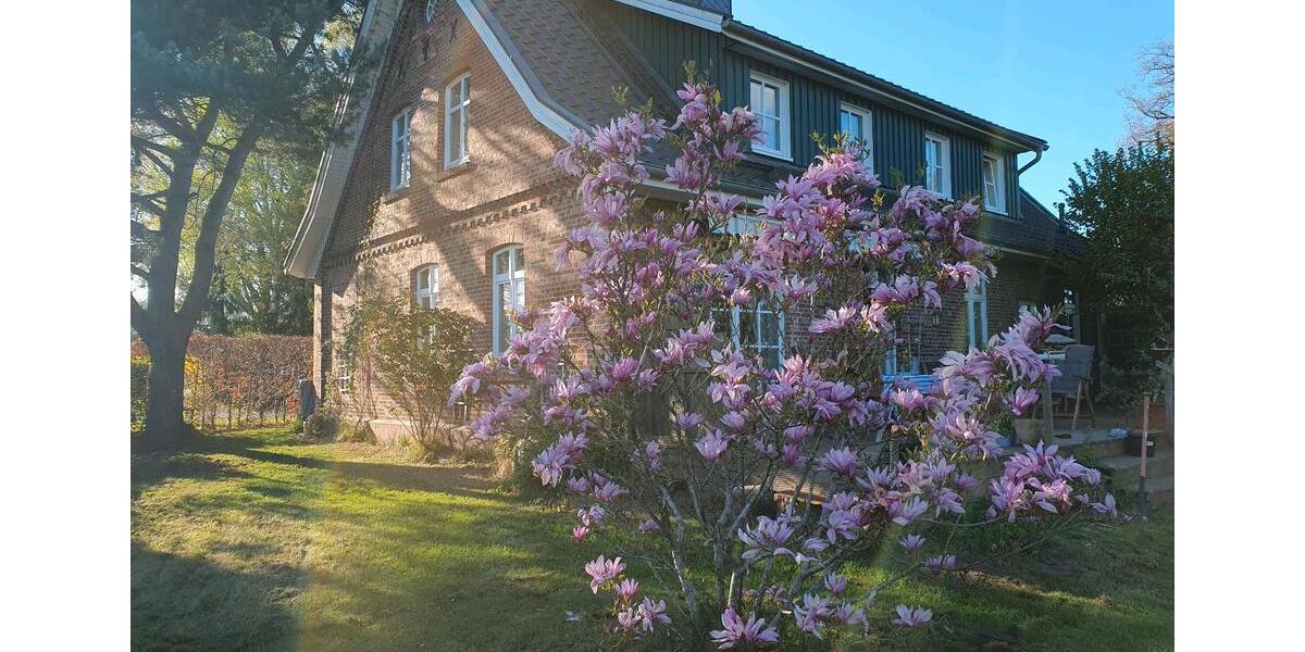 Wohnen auf Zeit Bendestorf - 2 Zimmer, 100 m&sup2;, 950&euro; | Angebot:25639481