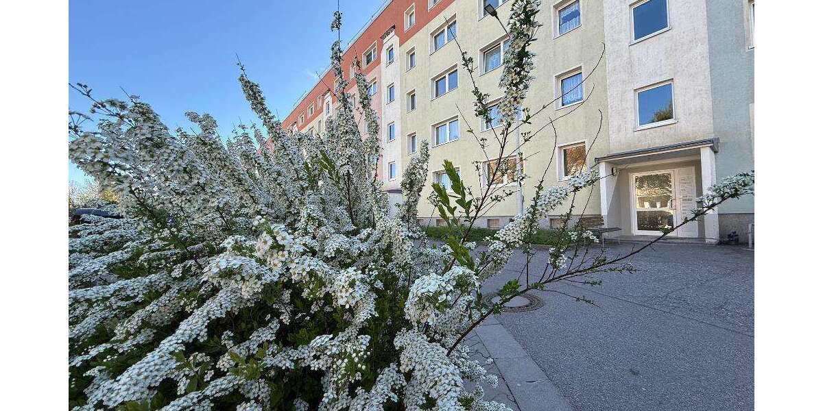 Etagenwohnung Wilkau-Haßlau Haßlau - 3 Zimmer, 57 m&sup2;, 320&euro; | Angebot:26483303