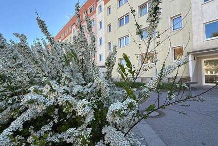 Wohnung Wilkau-Haßlau Haßlau - 3 Zimmer, 57 m&sup2;, 320&euro; | Angebot:26483303