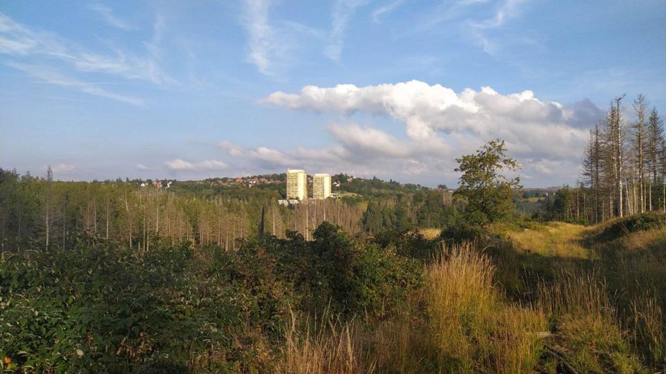 Wohnen auf Zeit Braunlage - 1 Zimmer, 37 m&sup2;, 100&euro; | Angebot:25835303