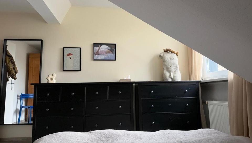 Dachgeschoßwohnung Mainz - 2 Zimmer, 45 m&sup2;, 990&euro; | Angebot:25724893