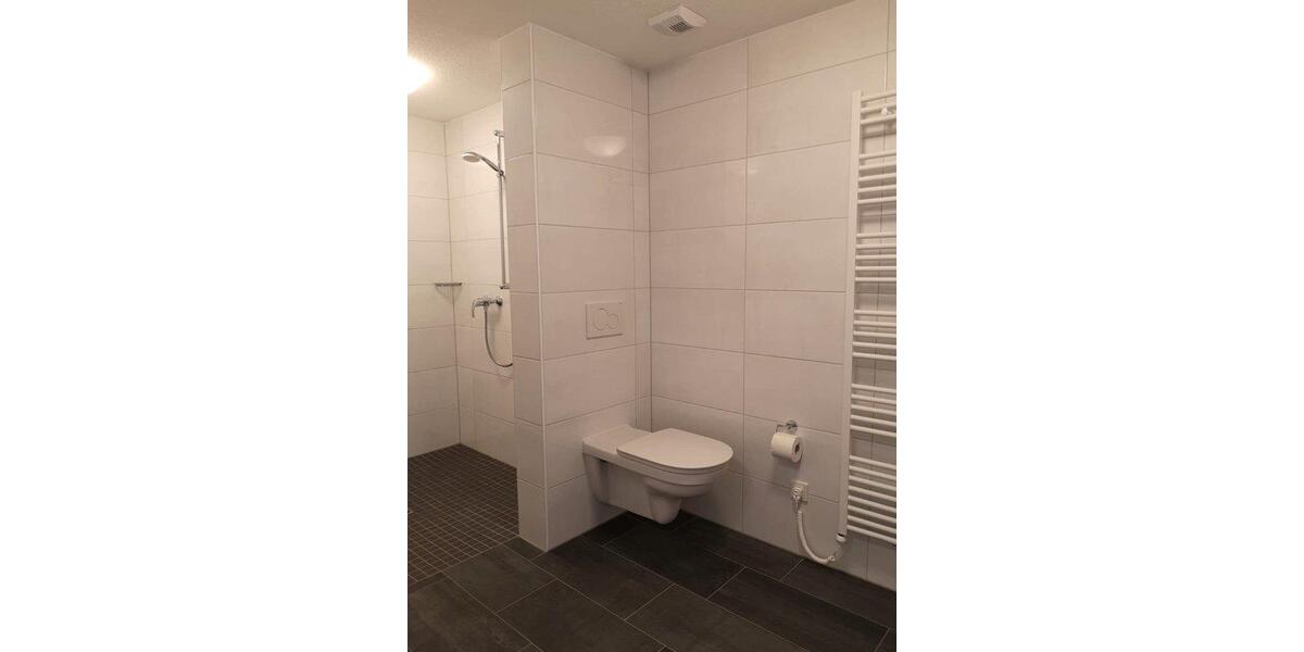 Etagenwohnung Ralingen - 1 Zimmer, 42 m&sup2;, 595&euro; | Angebot:26614410