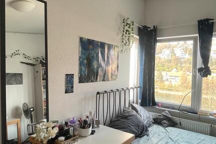 Wohnen auf Zeit Heidelberg Peterstal - 1 Zimmer, 16 m&sup2;, 500&euro; | Angebot:25853710