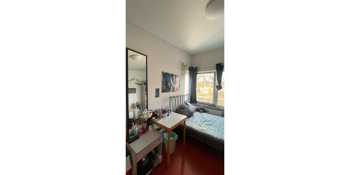 Wohnen auf Zeit Heidelberg Peterstal - 1 Zimmer, 16 m&sup2;, 500&euro; | Angebot:25853710