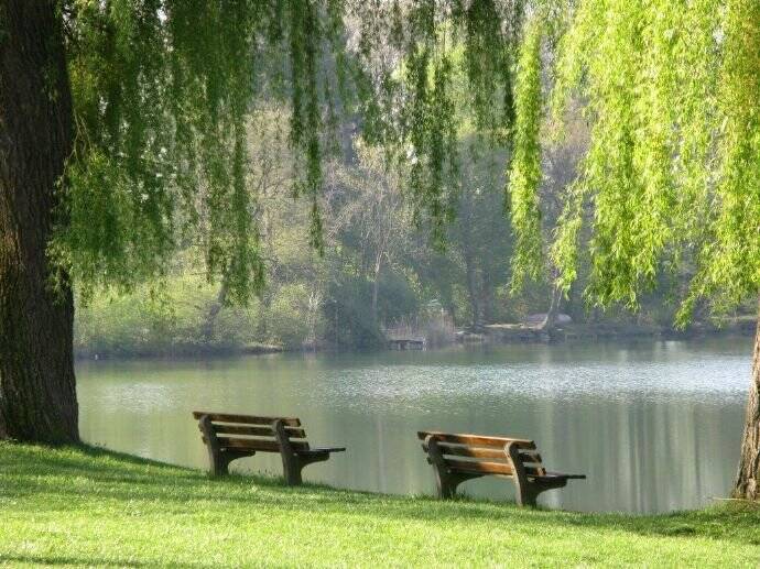 Gewerbeobjekt Steißlingen - 2.645&euro; | Angebot:25670613