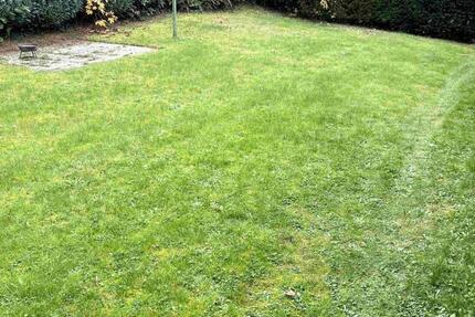 Kellerapartment in Mayen zu vermieten 1 zimmer