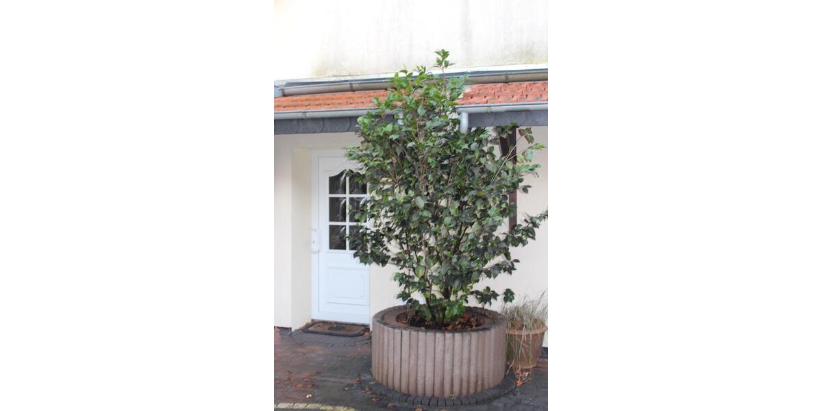 Etagenwohnung Schortens - 3 Zimmer, 158 m&sup2;, 1.200&euro; | Angebot:25057232