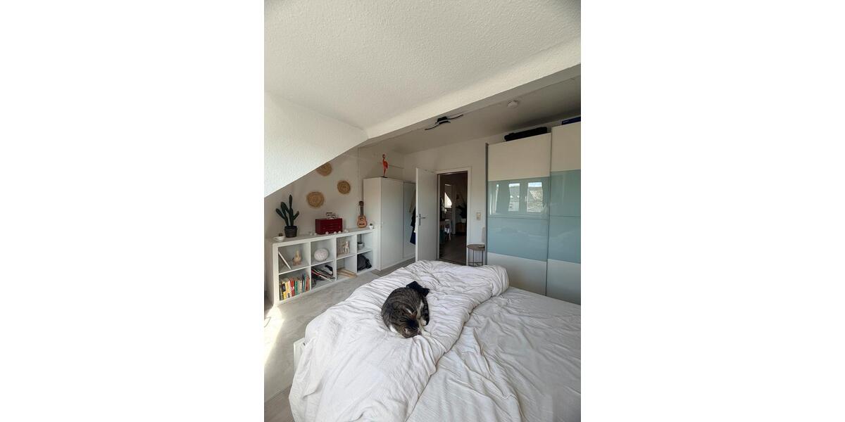 Einfamilienhaus Trier Kürenz - 2 Zimmer, 47 m&sup2;, 600&euro; | Angebot:26701836