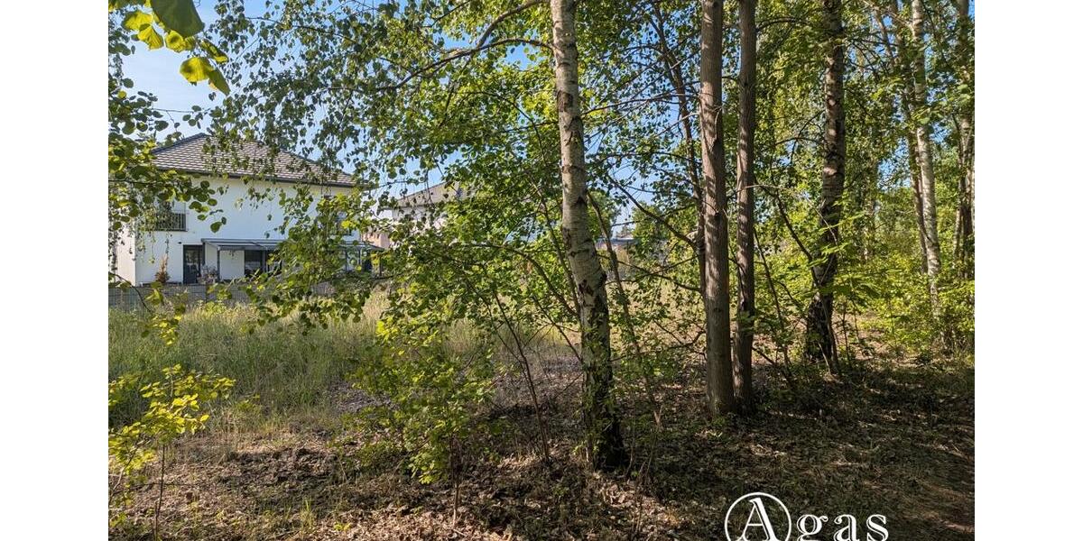 Gewerbeobjekt Brandenburg an der Havel - 1.000&euro; | Angebot:20866315