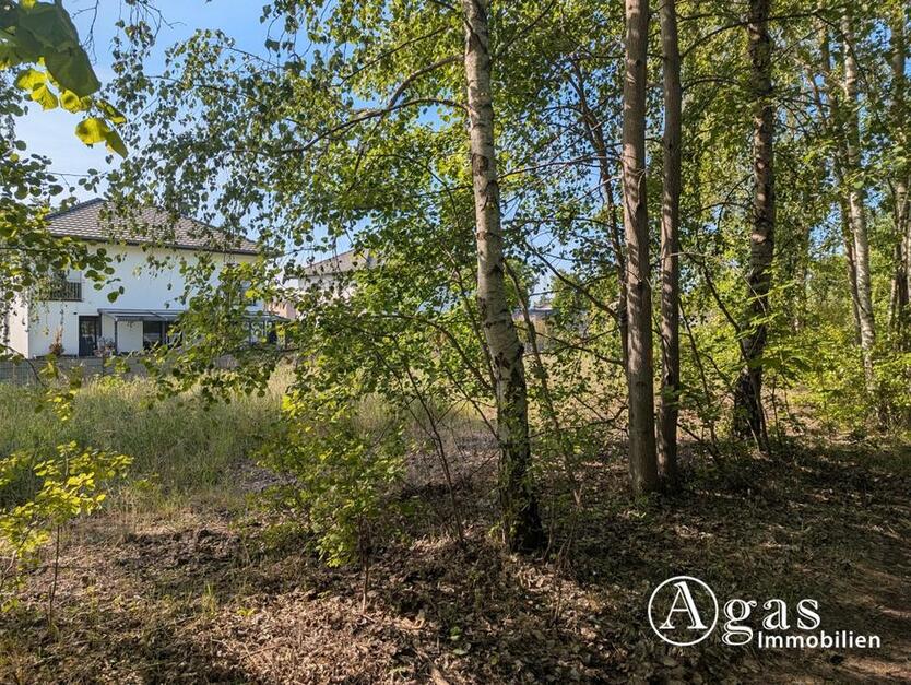 großzügiges Grundstück nahe der Altstadt in Brandenburg an der Havel zimmer