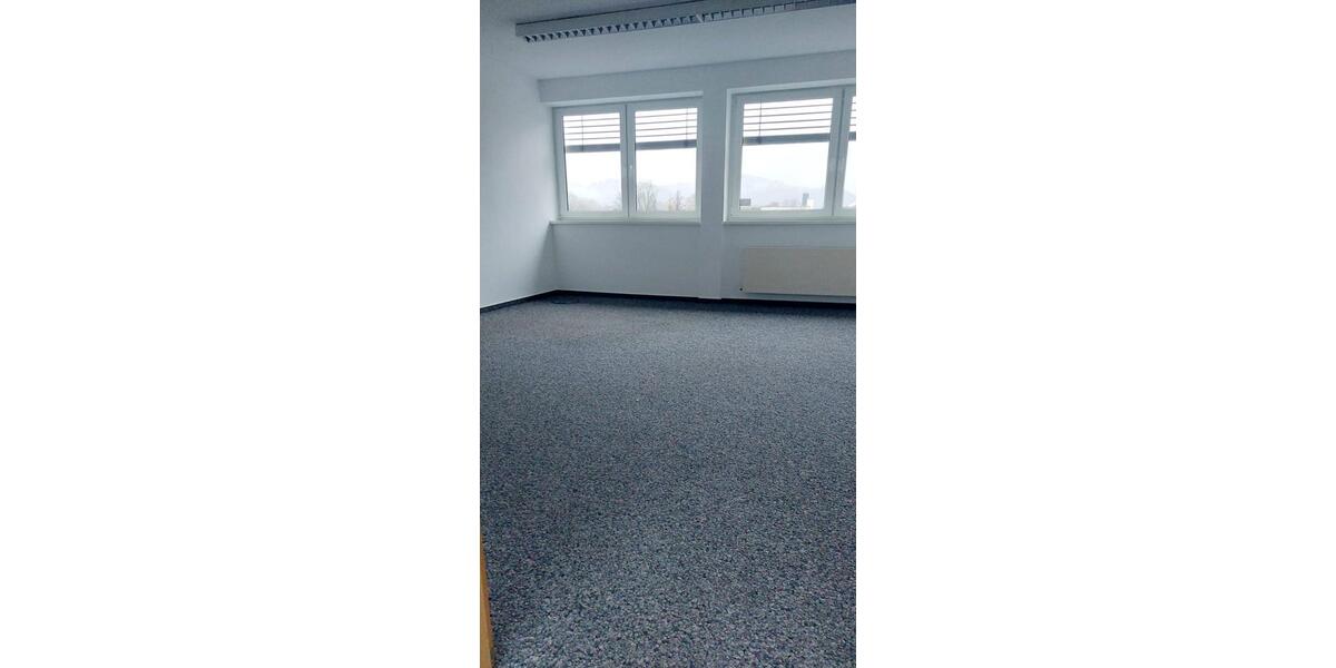 Gewerbeobjekt Biedenkopf - 1.950&euro; | Angebot:24877696