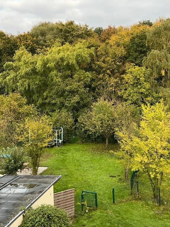 Haus mit großem Garten zu vermieten zimmer
