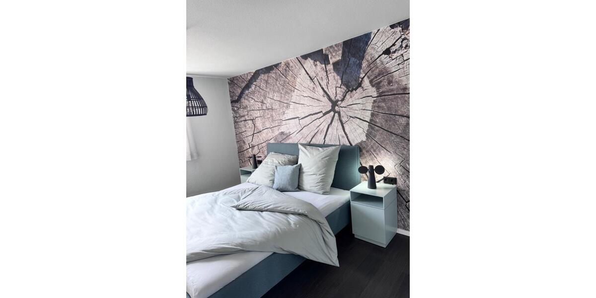 3-Zi. Whg. schick möbliert + Garage in FN-Ost vom 01.04.-31.05.26 3 zimmer