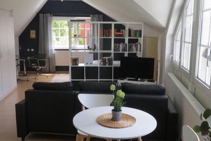 Wohnung Offenbach am Main Bieberer Berg - 1 Zimmer, 60 m&sup2;, 550&euro; | Angebot:26688974