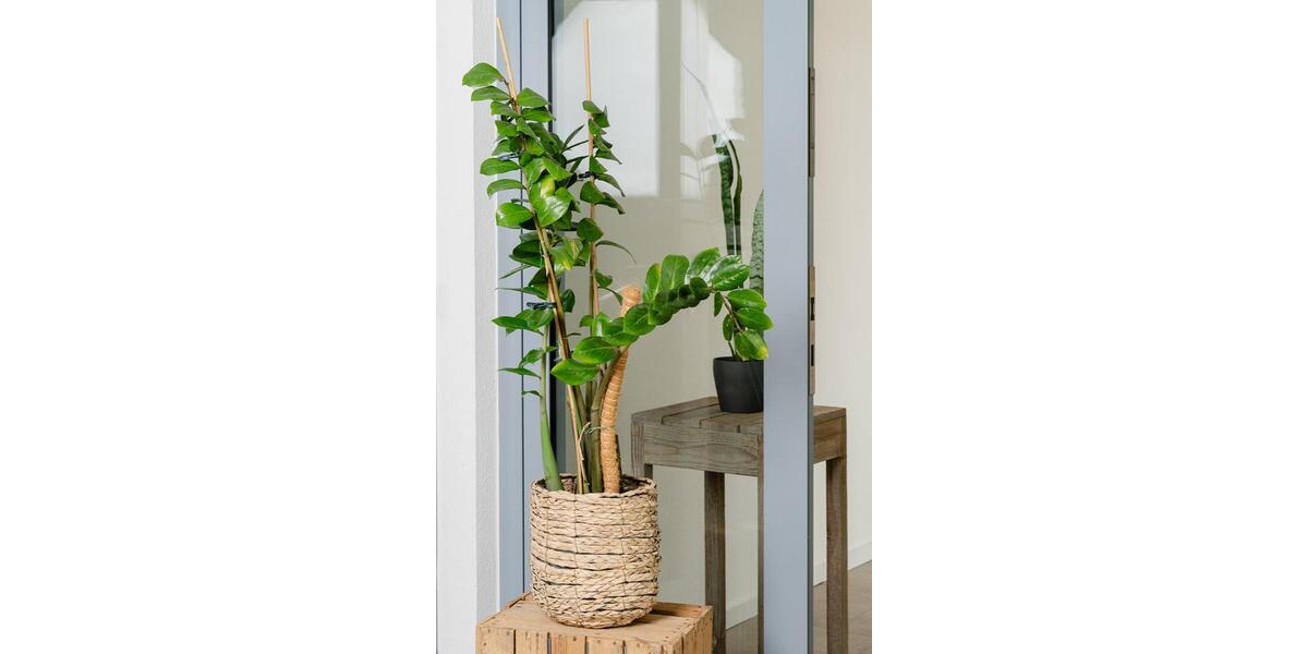Gewerbeobjekt Köln Ehrenfeld - 1.100&euro; | Angebot:26702940
