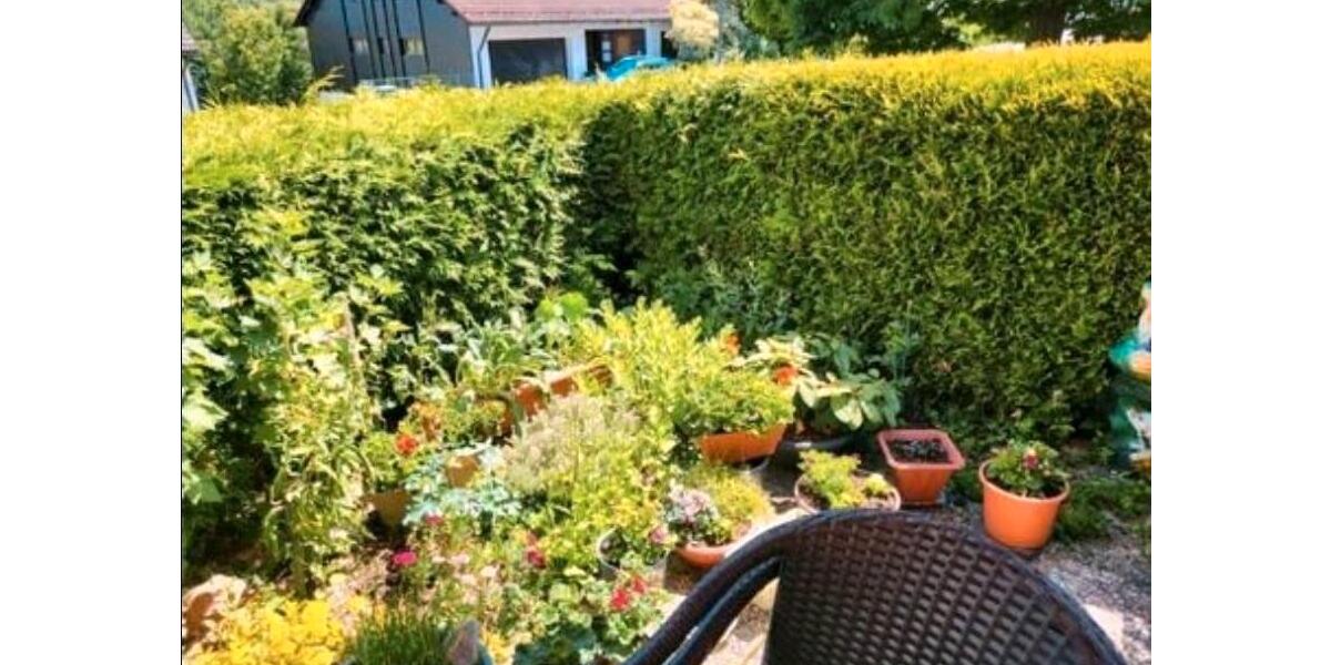 Etagenwohnung Bad Alexandersbad - 2 Zimmer, 48 m&sup2;, 430&euro; | Angebot:26552551