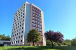 WG Zimmer Studentenwohnheim Halle 24qm Frauen zimmer