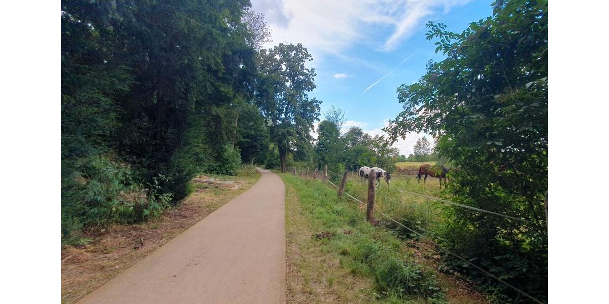 Dachgeschoßwohnung Staßfurt Atzendorf - 2 Zimmer, 70 m&sup2;, 390&euro; | Angebot:26020582