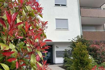Wohnung Kehl Sölling - 2 Zimmer, 61 m&sup2;, 750&euro; | Angebot:26729271