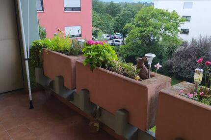 2-Zimmer-Wohnung mit Balkon, EBK und TG-Stellplatz zu vermieten 2 zimmer