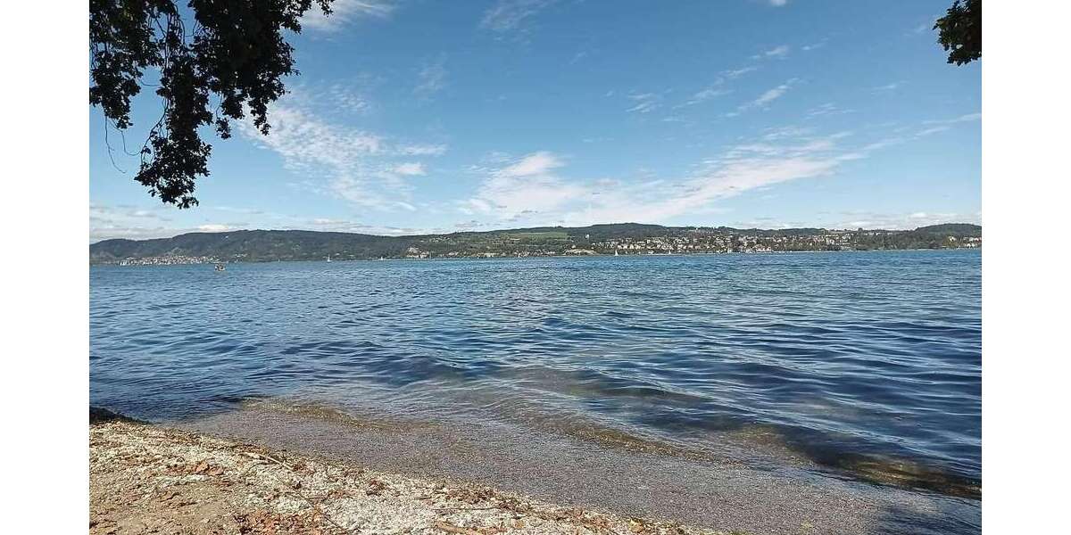 Etagenwohnung Konstanz Wallhausen - 1.5 Zimmer, 40 m&sup2;, 1.290&euro; | Angebot:27100938