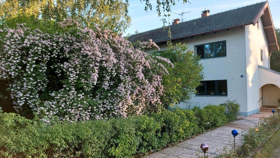 Erdgeschoßwohnung Tacherting - 2 Zimmer, 85 m&sup2;, 880&euro; | Angebot:26537128