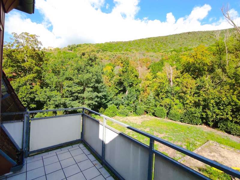 Etagenwohnung Neustadt - 2 Zimmer, 49 m&sup2;, 530&euro; | Angebot:26071810