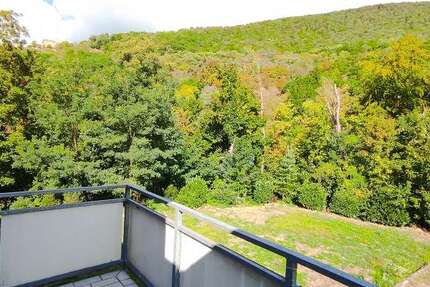 Wohnung Neustadt - 2 Zimmer, 49 m&sup2;, 530&euro; | Angebot:26071810