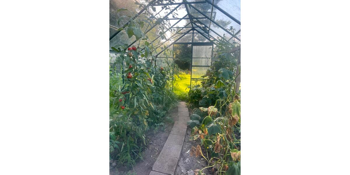 Erdgeschoßwohnung Grimma - 1 Zimmer, 65 m&sup2;, 720&euro; | Angebot:24566019