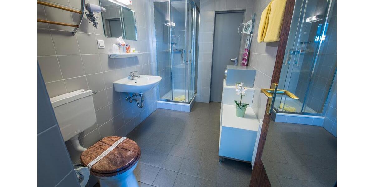 Wohnen auf Zeit Koblenz - 1 Zimmer, 25 m&sup2;, 990&euro; | Angebot:14022295