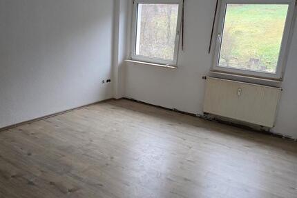 2 Zimmer Wohnung in Ihmert ab sofort zu vermieten. Neu renoviert! 2 zimmer