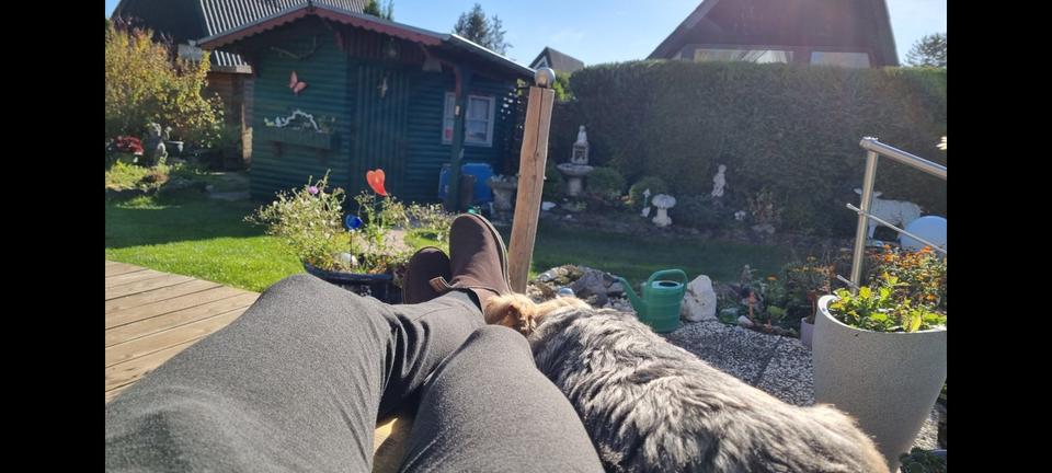 Einfamilienhaus Blankenheim - 2 Zimmer, 50 m&sup2;, 750&euro; | Angebot:24987599