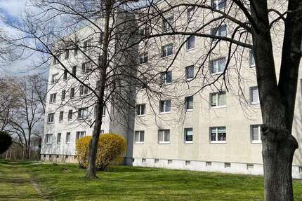 Wohnung Geithain - 3 Zimmer, 59 m&sup2;, 355&euro; | Angebot:24041706