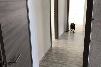 3-Raum-Wohnung 3 zimmer