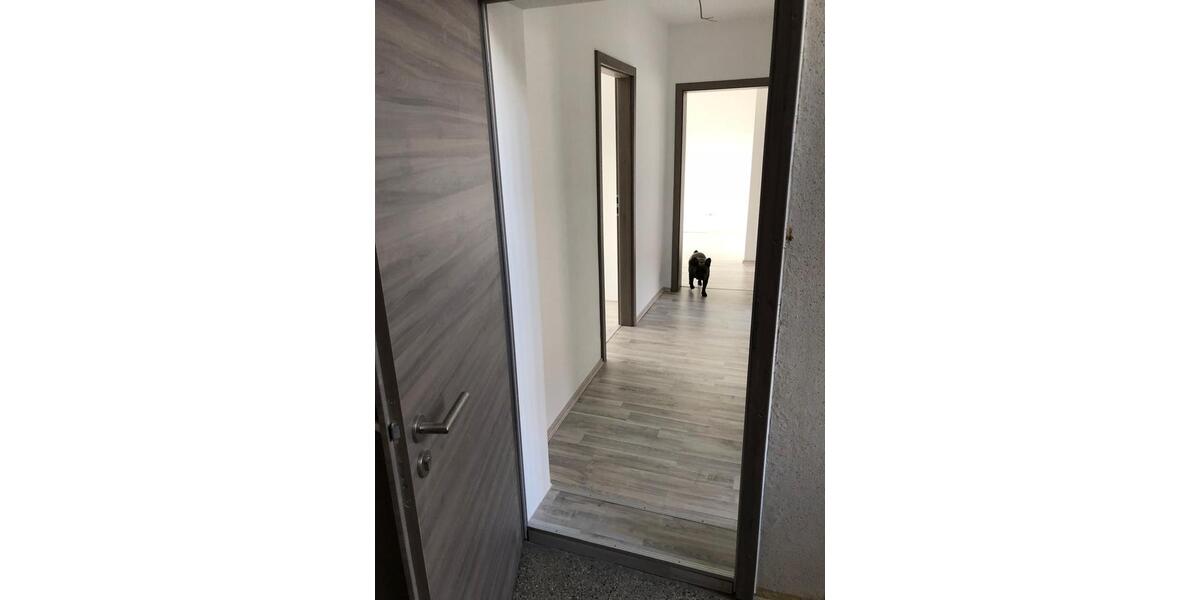 3-Raum-Wohnung 3 zimmer